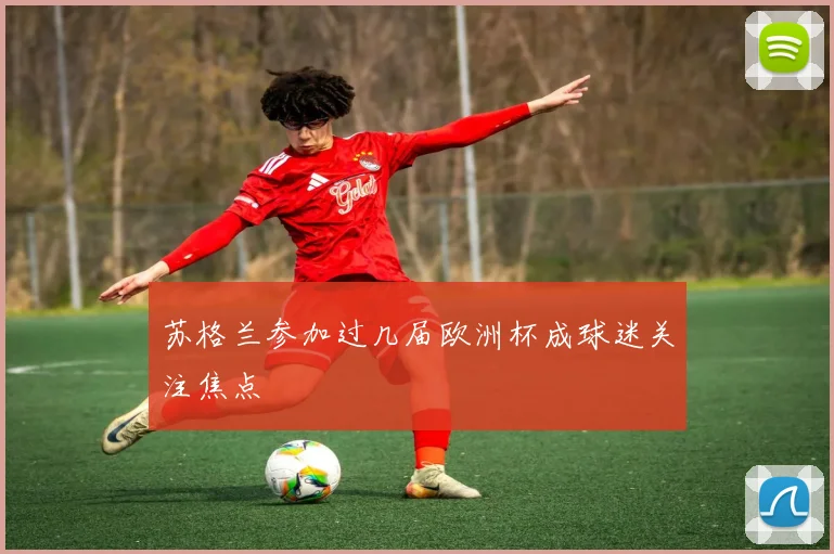 苏格兰参加过几届欧洲杯成球迷关注焦点