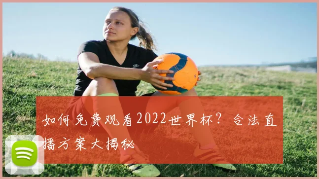如何免费观看2022世界杯？合法直播方案大揭秘