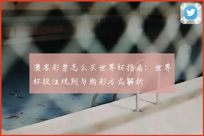 澳客彩票怎么买世界杯指南:世界杯投注规则与购彩方式解析