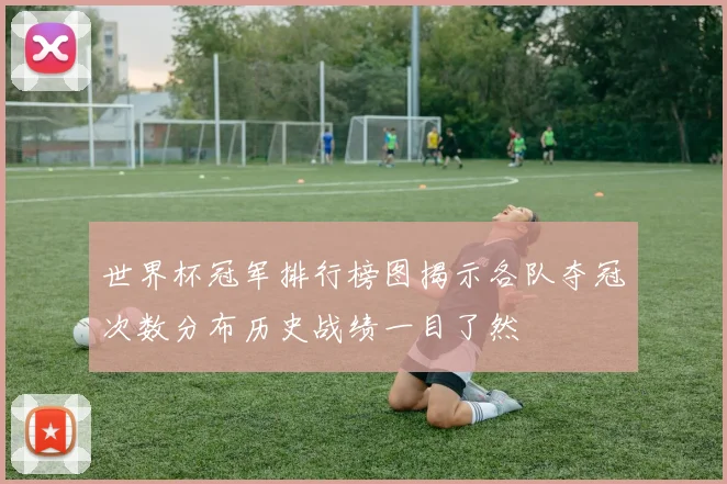 世界杯冠军排行榜图揭示各队夺冠次数分布历史战绩一目了然