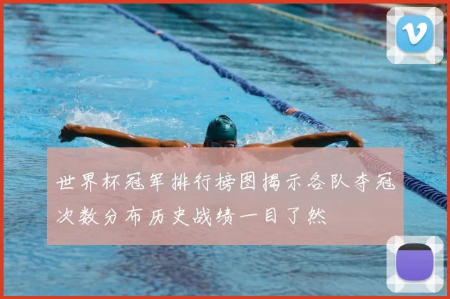 世界杯冠军排行榜图揭示各队夺冠次数分布历史战绩一目了然