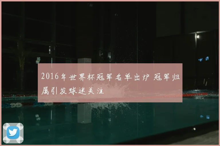 2016年世界杯冠军名单出炉 冠军归属引发球迷关注